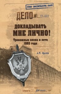 Докладывать мне лично! Тревожные весна и лето 1993 года - Орлов Андрей Александрович